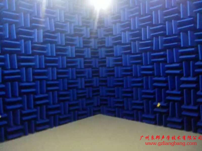 1495874861101602.jpg 半消聲室2.jpg